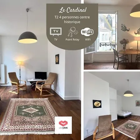 Appartement Le Cardinal - Grand En Centre Historique Poitiers